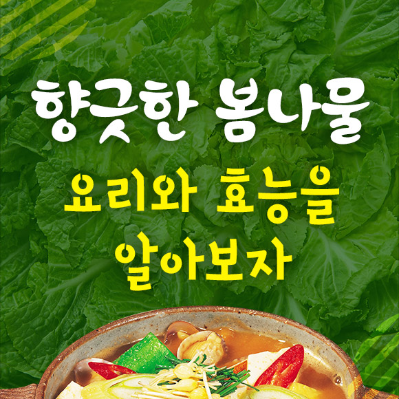 [펀한 건강지식]향긋한 봄나물 요리와 효능을 알아보자