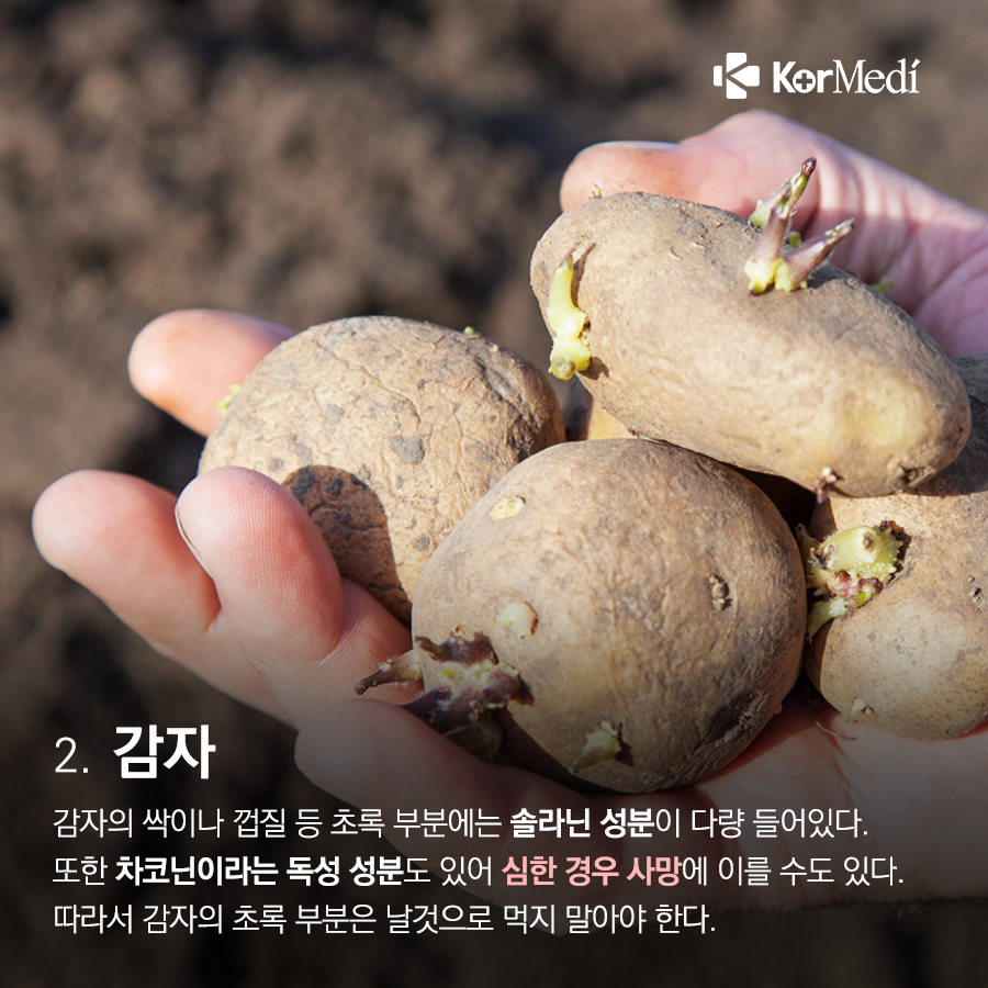 0327_코메디닷컴_‘날_것’으로_먹으면_안_되는_5가지_05