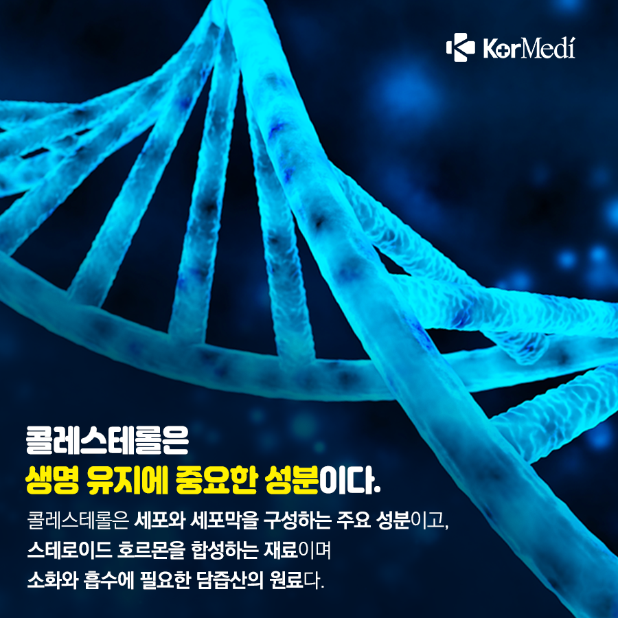 0422_코메디닷컴_콜레스테롤-바로-알기_03