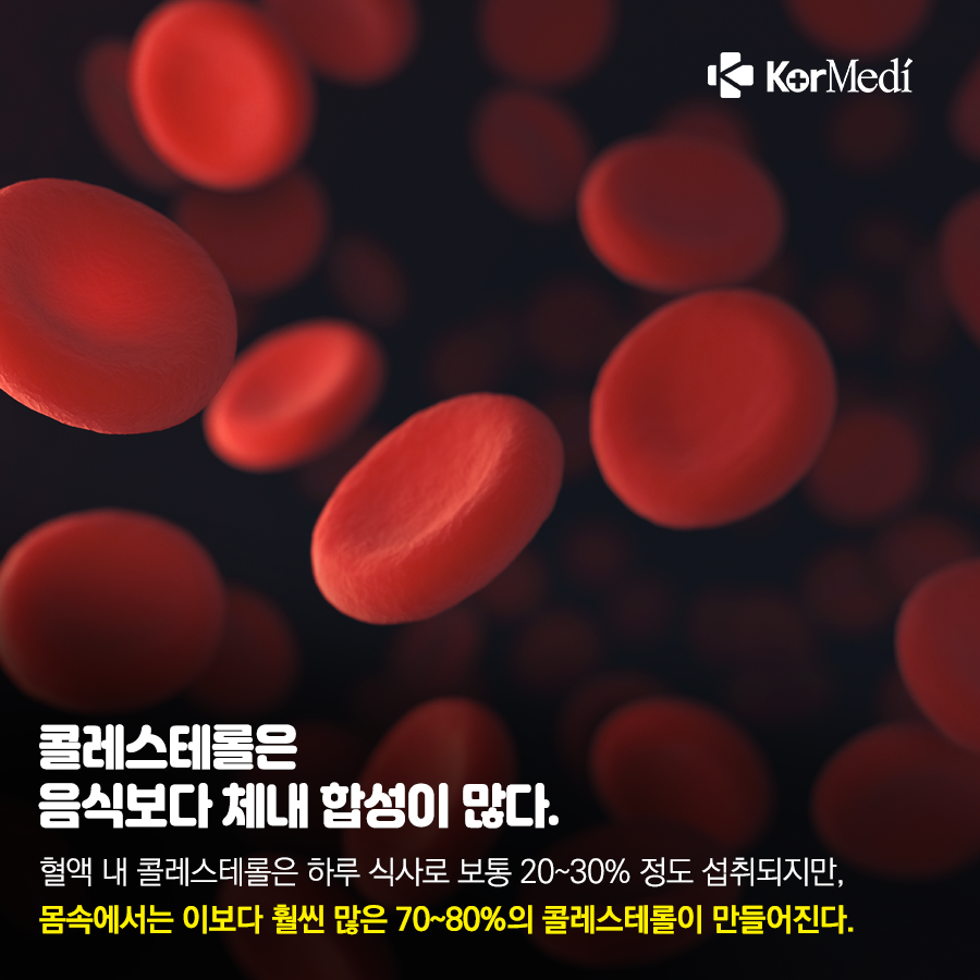 0422_코메디닷컴_콜레스테롤-바로-알기_04