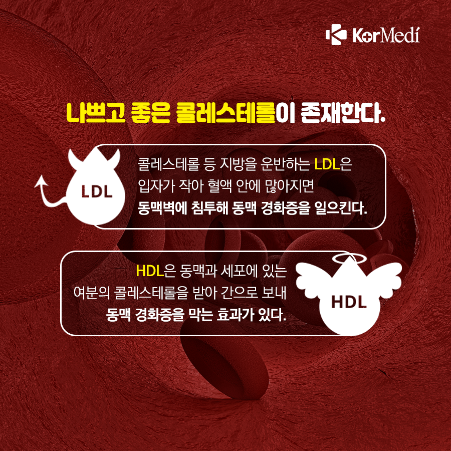 0422_코메디닷컴_콜레스테롤-바로-알기_05