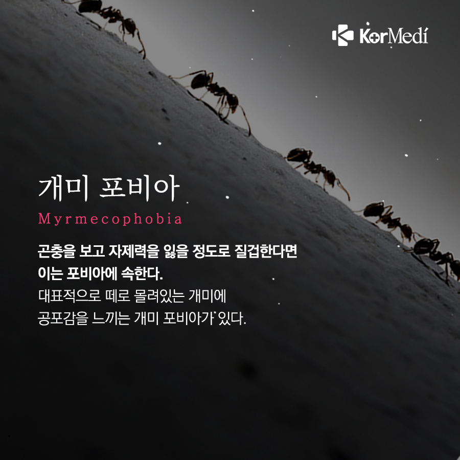 0513_코메디닷컴_뜻밖의-‘포비아’_06