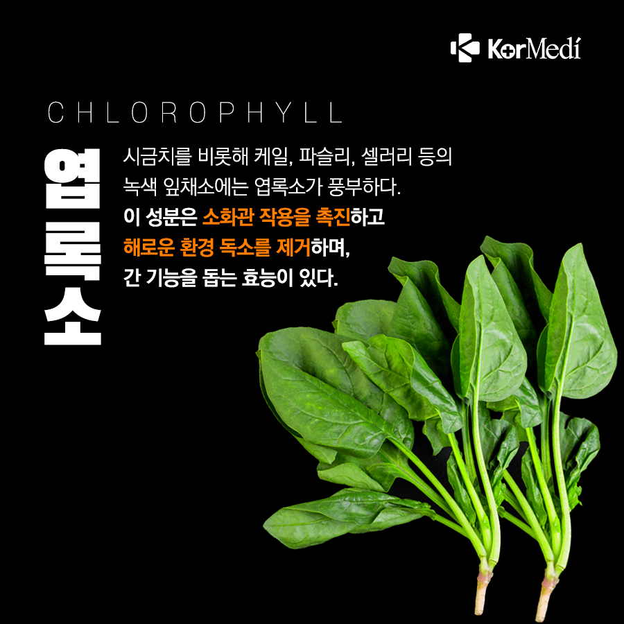 0515_코메디닷컴_면역력-높이는-영양-식품_06