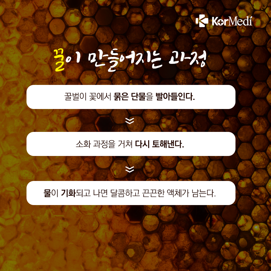 0521_코메디닷컴_꿀은-과연-몸에-좋을까_03