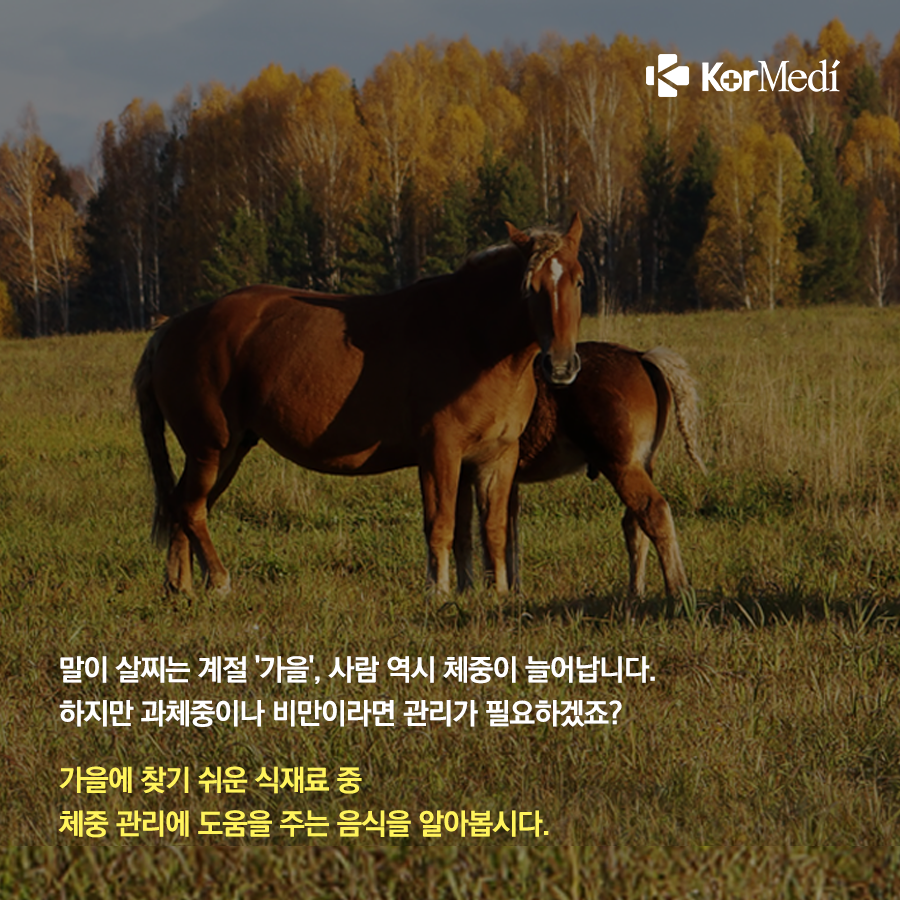 1003_코메디닷컴_가을철_비만_예방_‘이런’_음식으로_02