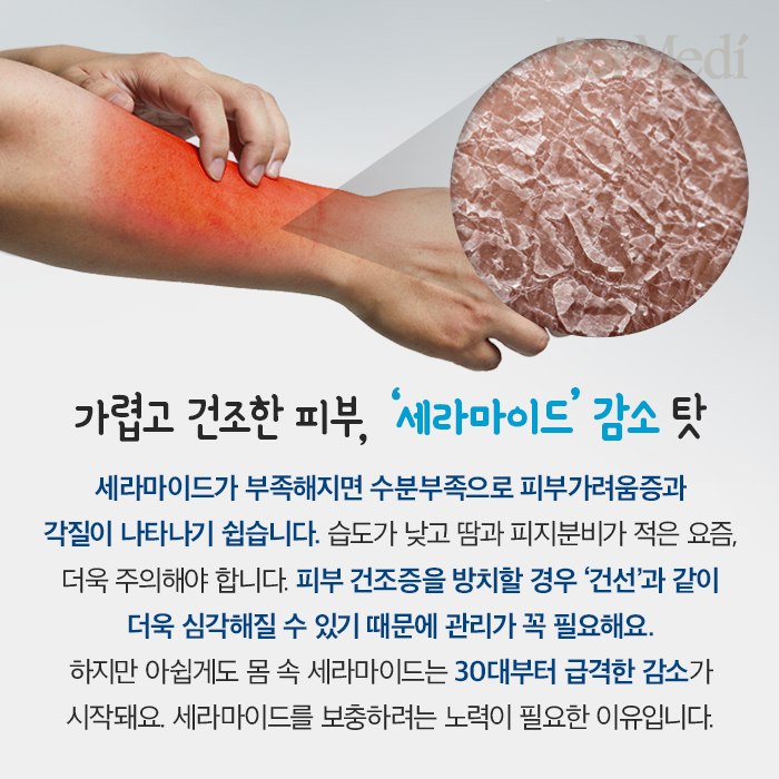 Artboard-62