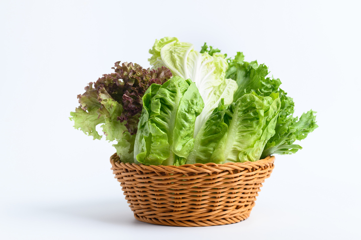 바구니에 담긴 상추