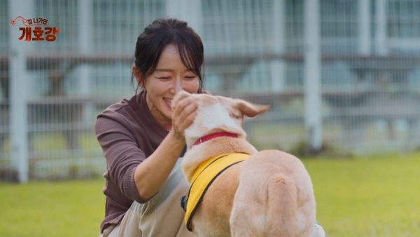 Understanding Animal Hair Allergies