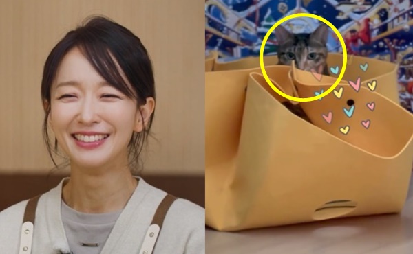 Cat Deacon Park Sun-young’s Health Scare & Rest Revelation Cat Deacon Park Sun-young’s Health Scare & Rest Revelation