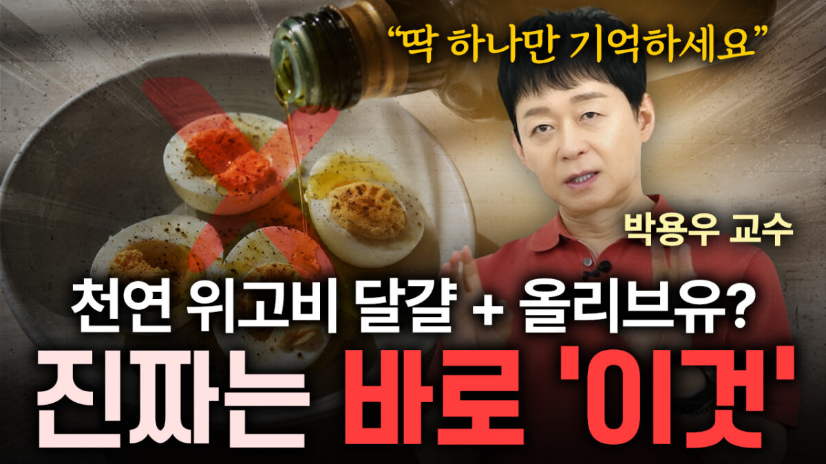 천연 위고비 달걀 + 올리브유? 진짜는 바로 '이것' | 박용우 교수
